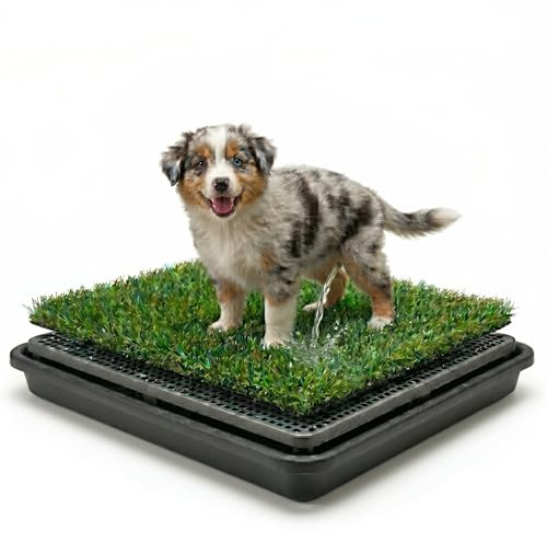 Toilette per cani con erba artificiale e vaschetta di raccolta, 50 x 40 cm, a 3 strati, per interni ed esterni, riutilizzabile, per addestramento al bagno, balcone e appartamento, facile da pulire