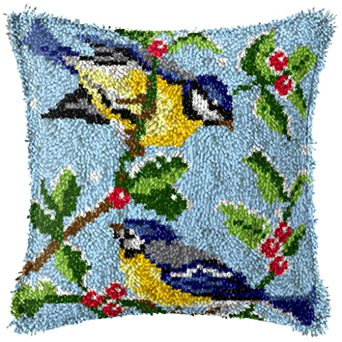 ZUHK DIY Latch Hook Kit, 3D Embroidery Pillow Materials - Cross Stitch Sofa Cushion Cover with Hook Tool, Fit for Beginner & Adults, 43x43 cm (Bird B)