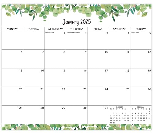 Calendario magnetico per frigorifero 2025, calendario magnetico per frigorifero da gennaio 2025 a giugno 2026, calendario da frigorifero per 18 mesi, per tenere traccia di eventi e appuntamenti