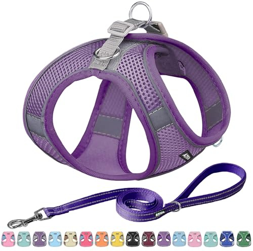 AIITLE Breathable No-Choke Harness for Medium Breeds - Reflective Leash Set with Hook-and-Loop Straps, Durable for Training, Jogging, Adventures Pure-Purple L