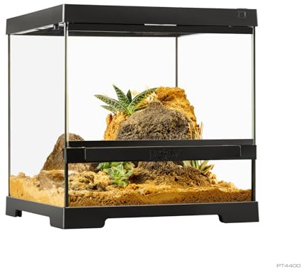 Exo Terra par Terrarium 30 x 30 x 30 cm