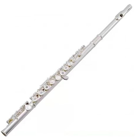 tvärflöjt instrument Flöjt 16 hål nybörjare spelar flöjt musikinstrument