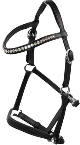 Amesbichler Reitsport AMKA Fohlenhalfter Show Vorführhalfter aus Leder mit Glitzer Stirnband