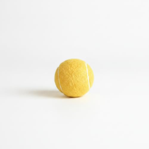 Whtkoph Training Ball Rubber Toy Squeaky Ball Dental Care Ball Interactive Dog Ball With Massaging Health suitable for recall exercise outdoor, Orange Yellow, style to 2