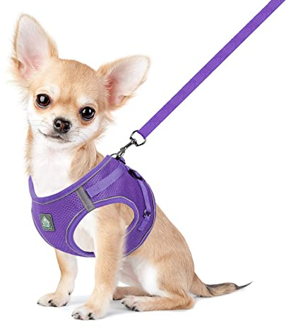 FEimaX Pettorina per Cani e Guinzaglio, Imbottita in Morbida Rete, Imbracatura Riflettente Regolabile per Cane di Piccola Media Taglia e Gatti Harness per Passeggiate e Corsa