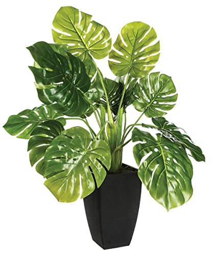 Atmosphera - Plante Artificielle - Pot en Ciment - H70 cm