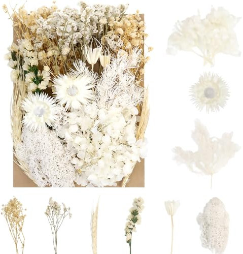 Sularpek Dried Flowers - Natural, Pressed for DIY Art & Decoration