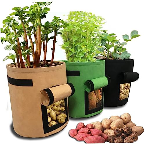 POPETPOP Pot de Fenêtre pour Pommes de Terre pour Pommes de Terre Carottes Tomates Oignons de Culture Réutilisable de Plantation de Pommes de Terre