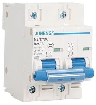 Automatsäkring, skyddsbrytare DC Circuit Breaker 1P 2P 12V24V48V60V120V luftbrytare 63A 80A 100A 125A 150A 200A 250A solbatteri (1P, 100A)