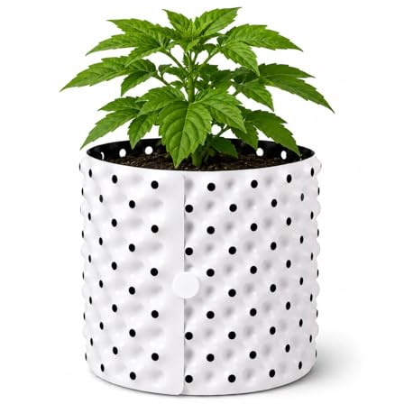 Weedness Roots Plus 21 litres en blanc 30 x 29 cm – Vaso/Contenitore di coltivazione per interno ed esterno – Homebox – Contenitore di semina – Accessorio di coltivazione