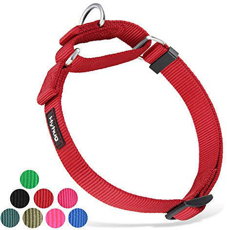 Hyhug Heavy Duty Nylon Anti - Escape Martingale Dog Collar for Large Medium Small Boy and Girl Dogs - Walking Training Daily Use. (Medium, Red)