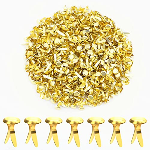AIEX 600 Stück Metall Papierbefestigungen Rund Messingbefestigungen Splinte für Bastelprojekte Scrapbooking Büro 12 x 8 mm (Gold)