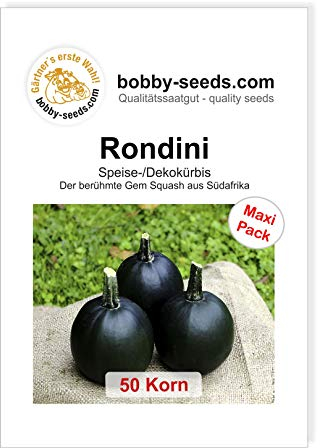 Rondini - Gem Squash Kürbissamen von Bobby-Seeds 50 Korn