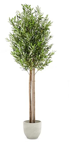 Maia Shop Olivo Artificial 185 cm - Arbol Mediterraneo Realista de Interior