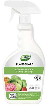 Ecoworm Potassium Soap – Organic Bug Spray & Horticultural Soap for Plants – Natural Plant Cleaner & Neem Oil Alternative (500ml Ready-to-Use)
