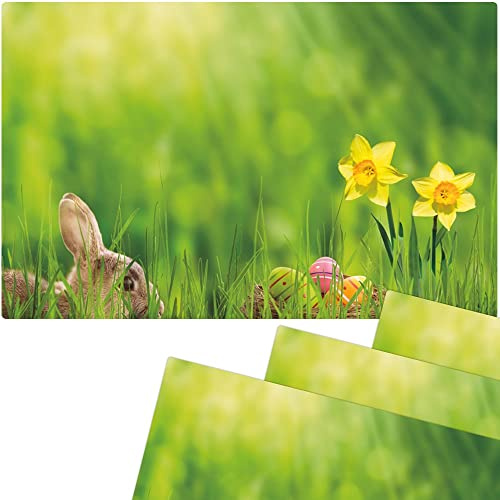 matches21 Frühlingshafte Tischsets Platzsets Motiv abwaschbar Osterhase Osterglocke Wiese bunt 4er 43,5x28,5 cm