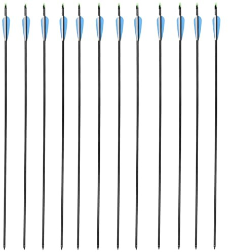 KURUGEILI 30 Inch Carbon Arrow with 100 Grain Removable TipsSpine 550 for Compound & Recurve Bow(Pack of 12)