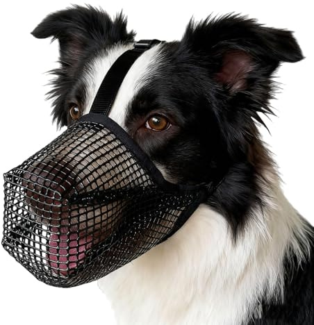 1Pcs Mesh Dog Muzzle,dog muzzle medium,Breathable Pet Mask Training,Anti Bark Muzzle,Prevent Eating Biting Chewing Mouth Guard Cover for Medium Dogs (Black, M)