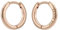 Ted Baker Crisele Logo Hoop Earrings (14mm) For Women (Rose Gold)
