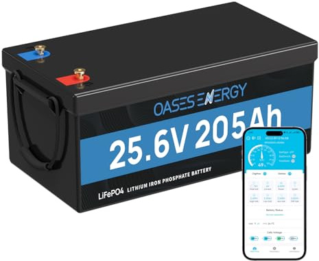 Batterie LiFePO4 24V 200Ah avec BMS 200A et protection basse température, 4000-15000 cycles, batterie au lithium 24V 5120Wh pour camping-car, kit de panneau solaire, camping, bateaux, stockage