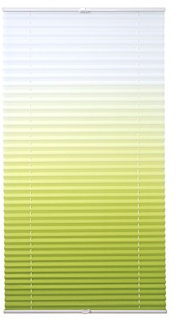 WR-Design Verspanntes Klemmfix-Plissee mit Farbverlauf in Grün - Breite 45 bis 100 cm - Länge 130 cm - der attraktive Sichtschutz (60 x 130 cm)