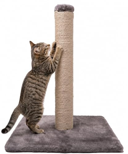 DIVCHI 16 Cat Scratching Post 40 cm for Cats - Keep Your Cat Happy and Your Furniture Safe