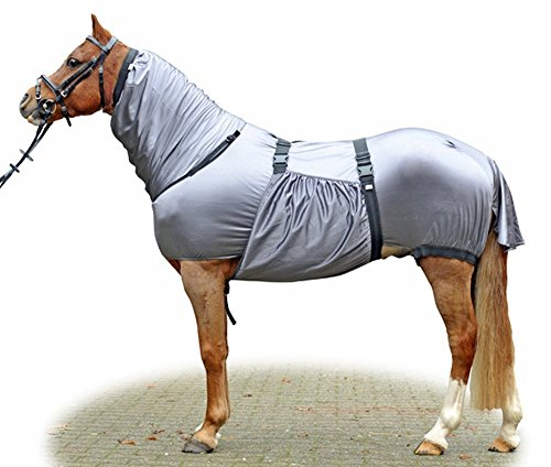 Ekzemer-Decke -SECURITY-