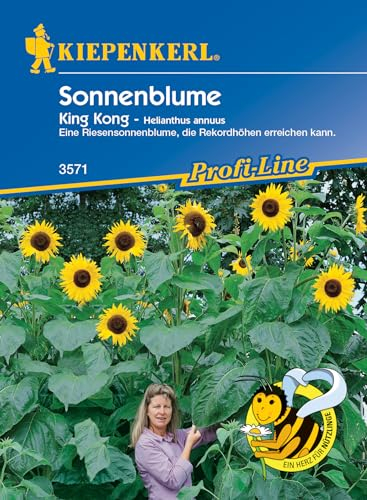 Kiepenkerl Profi-Line Sonnenblumensamen King Kong - Nahrungsquelle für Nützlinge, Riesensonnenblumen bis 4,5m Wuchshöhe