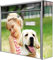 banjado® Burg-Wächter® Briefkasten mit Motiv Wunschmotiv/Briefkasten ohne Zeitungsfach 32x36x10 cm groß/Briefkasten mit Namensschild A4 Einwurf inkl. Montagematerial & 2 Schlüsseln