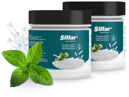 Sillar Accessoire pour Sauna, Cristaux de Menthol 2x100g, Cristaux de Menthol pour le Sauna à Inhaler | Cristaux de Menthol de Menthe Pure | Set Cadeau pour Sauna, Infusion de Menthol