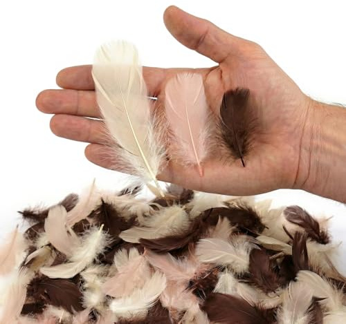 Netuno 450 stycken dekorativa fjädrar, Ecru, ljusbeige, brun, ECRU NUDE BROWN 30 g flufffjädrar, smyckesfjädrar, fågelfjädrar, pysselfjädrar, natur för gör-det-själv pyssel, dekoration, påsk, jul,