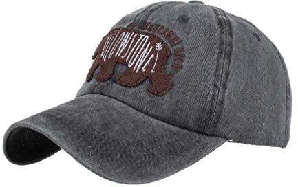 XibeiTrade Moda oso bordado gorra de béisbol hombres mujeres algodón al aire libre senderismo bicicleta golf sombrero