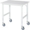 RAU | Fahrbarer Arbeitstisch | Gestell 60 x 30 mm | Platten-BxT 1000 x 800 mm | Melaminplatte