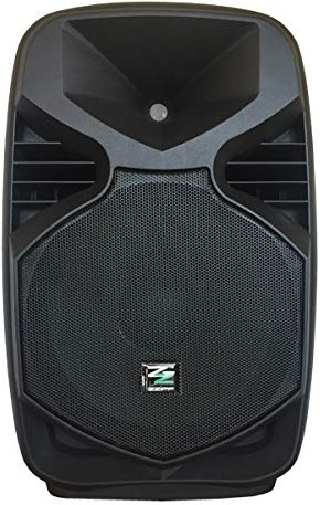 Cassa attiva amplificata diffusore (200 Watt, subwoofer da 25 CM, XLR, RCA, ABS, MIC IN)