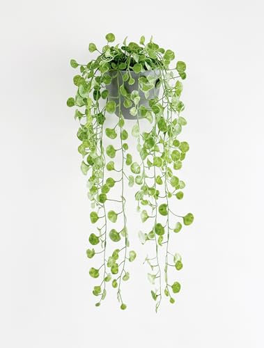 Mr. Bom Artificial Hanging Plant with Hook Faux Trailing Greenery in Pot, Hanging & Tabletop Decor, Artificial Plants for Indoor Outdoor Home Decor