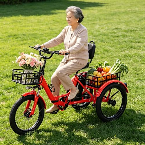 LISTaRSw Bicicleta Eléctrica De Carga De 20 Pulgadas Y 3 Ruedas para Adultos | 5 Velocidades | con Cesta Portaobjetos Y Neumáticos Anchos | Fácil De Subir | Capacidad De Carga: 200 Kg Red