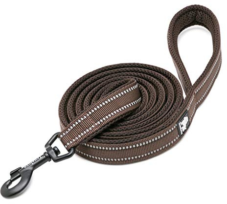 WINHYEPET Dog Leash Nylon Reflective,110cm Length(Brown,M)