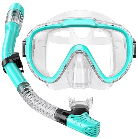 Lealinga Snorkel Set, Panoramic View Snorkel Mask, Anti-Fog Dry Top Snorkel Kit with Travel Bag, Diving Set for Snorkeling Scuba Diving Swimming Travel for Adults Kids Large