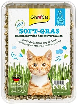 GimCat Soft-Gras - Zartes und vitaminreiches Katzengras mit schneller Aufzucht in nur 5 bis 8 Tagen - 1 Schale (1 x 100 g)