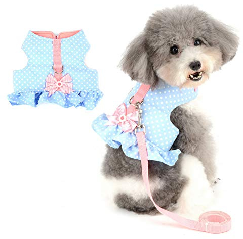 Zunea Harnais et Laisse pour Petit Chien Fille de Chiot Veste Robe, Anti Traction Harnais Chaton rembourré en Coton Doux et coloré avec nœud Mignon pour Chihuahua Yorkshire Bleu XS