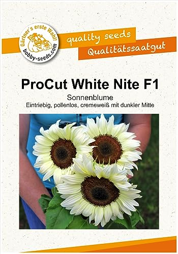 Blumensamen ProCut White Nite F1 Sonnenblume Portion