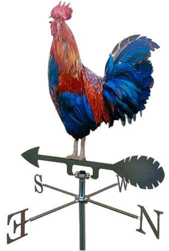Banderuola a forma di Gallo, Segnavento in acciaio inox, con movimento su cuscinetti a sfera