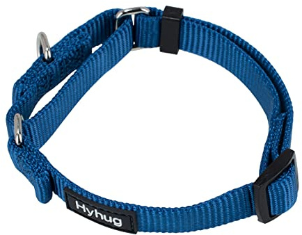 Hyhug Heavy Duty Nylon Anti - Escape Martingale Dog Collar for Large Medium Small Boy and Girl Dogs - Walking Training Daily Use. (Small, Class Blue)