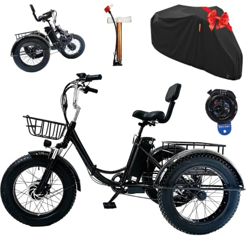 WuXQuuzlh 20 Pouces Tricycle Electrique Adulte, Tricycle à 3 Roues en Acier Carbone, Paniers De Rangement Avant Et ArrièRe, éCran D'Affichage NuméRique, Charge 150kg pour Courses Quotidiens