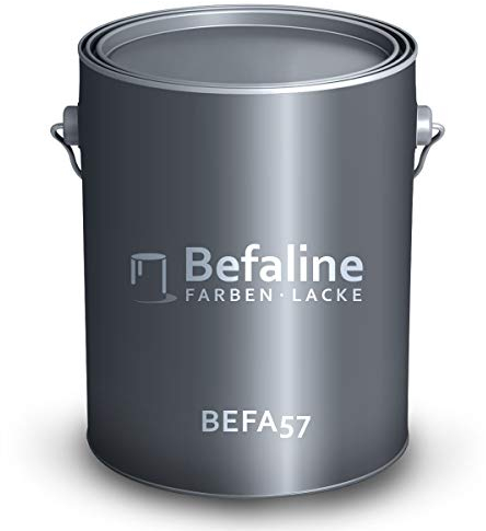 Befaline © vernice protettiva per metallo 3 in 1, 5 l, colore grigio platino, colore metallico, vernice protettiva per metallo, ferro, zinco, alluminio, acciaio – estremamente resistente, resistente