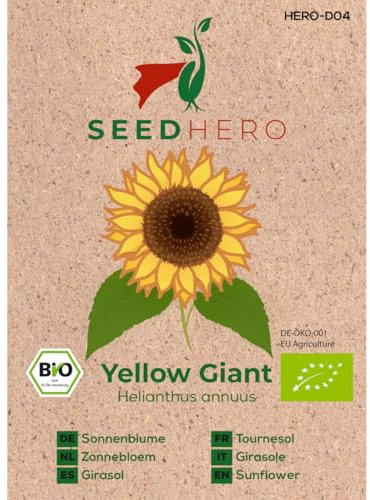 Seedhero BIO Sonnenblume Gelbe Riesen Samen