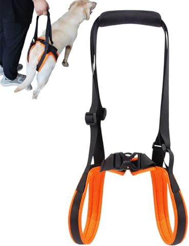 Écharpe de portage pour pattes arrière - Sangles de soutien et de transport respirantes - Aide au levage des jambes pour chiens âgés - Pour les grands et moyens, les personnes âgées, les blessés, les