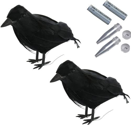 geo-versand 2 x Rabe mit Nano Vogel wasserdicht +Logstr. Geocaching Versteck Wald Tier Micro