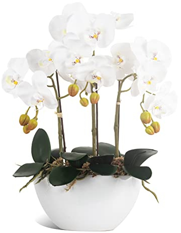 Ziwon Fiori di orchidea artificiali in vaso in vaso di ceramica, orchidee finte Phalaenopsis bianche per centrotavola da tavola, fiori finti realistici in vaso per decorazione di casa e ufficio