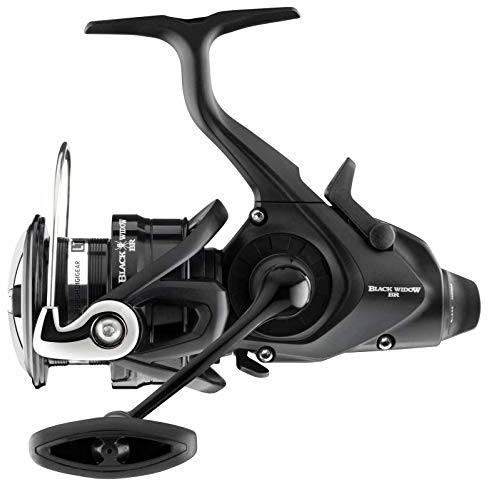 Daiwa 19 Black Widow BR LT 4000-C